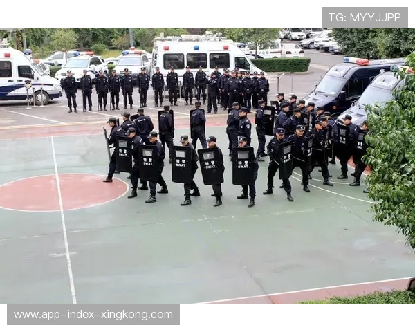 在线战术课程成为教练进修新常态