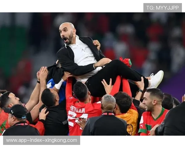 日本落入世界杯突破难度最大的路线组：从死亡组到突破之路的全景解读