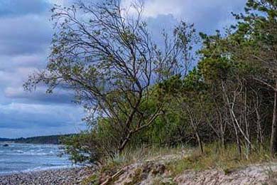 76人队攻防节奏掌控出色，76人进攻战术