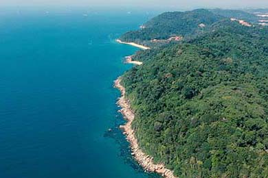 APA中路统治力日渐提升，阿p中路1v1